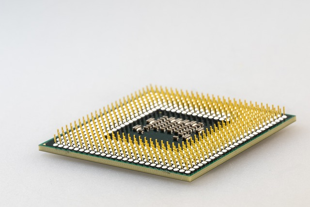 Micro Chip 